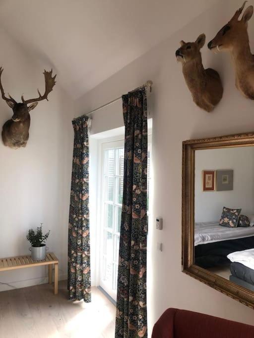 Cozy, Quiet Guest House Perfect For Business Or Pleasure Hillerød Zewnętrze zdjęcie