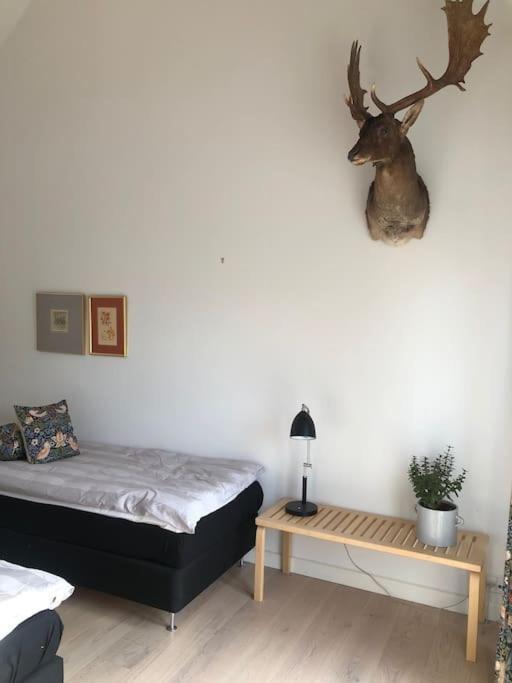 Cozy, Quiet Guest House Perfect For Business Or Pleasure Hillerød Zewnętrze zdjęcie