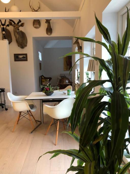 Cozy, Quiet Guest House Perfect For Business Or Pleasure Hillerød Zewnętrze zdjęcie
