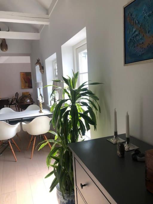 Cozy, Quiet Guest House Perfect For Business Or Pleasure Hillerød Zewnętrze zdjęcie