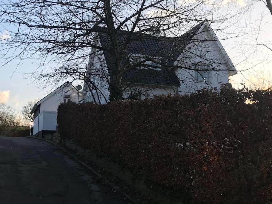 Cozy, Quiet Guest House Perfect For Business Or Pleasure Hillerød Zewnętrze zdjęcie