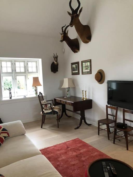 Cozy, Quiet Guest House Perfect For Business Or Pleasure Hillerød Zewnętrze zdjęcie
